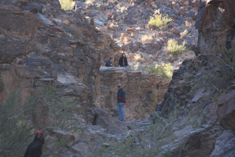 Photo of Petroglyph Canyon Trail (100 Trail)