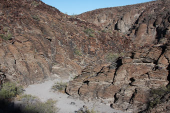 Photo of Petroglyph Canyon Trail (100 Trail)