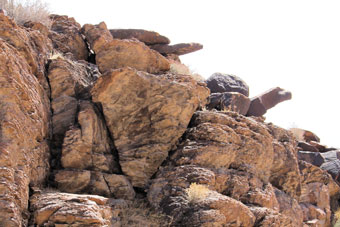 Photo of Petroglyph Canyon Trail (100 Trail)