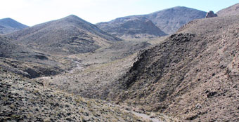 Photo of Petroglyph Canyon Trail (100 Trail)