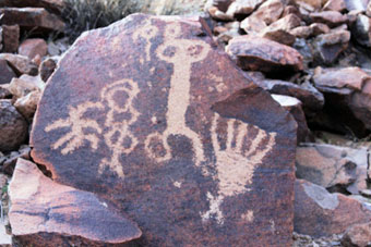 Photo of Petroglyph Canyon Trail (100 Trail)