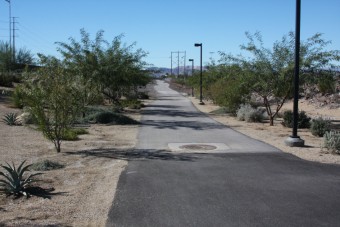 Photo of Cactus Wren Trail