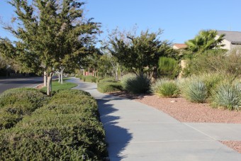 Photo of Sandstone Drive Loop Trail