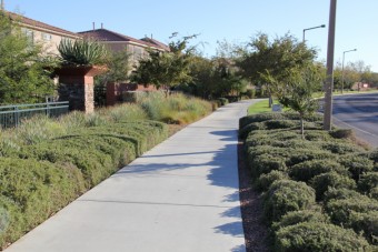 Photo of Sandstone Drive Loop Trail