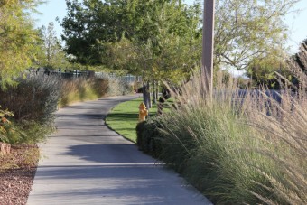 Photo of Sandstone Drive Loop Trail