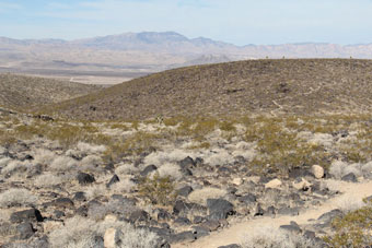 Photo of Connector Trail