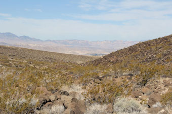 Photo of Connector Trail