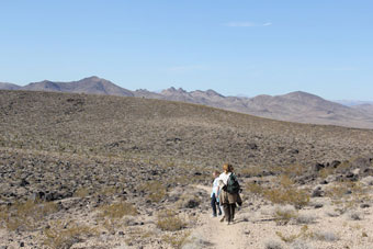 Photo of Connector Trail