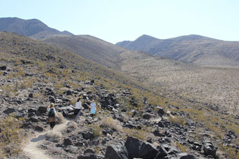 Photo of Park Peak Path Trail (403 Trail)