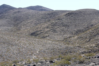 Photo of Park Peak Path Trail (403 Trail)