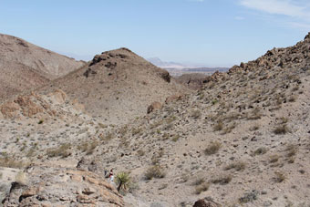 Photo of Park Peak Path Trail (403 Trail)