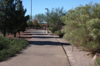 Photo of Acacia Park Loop Trail