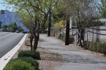 Photo of Adams Boulevard Trail