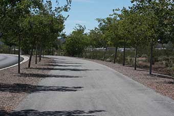 Photo of Adams Boulevard Trail