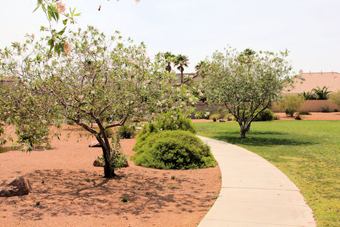 Photo of All American Park Loop Trail