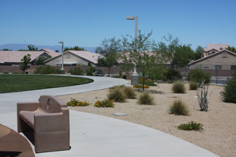 Photo of Amador Vista Park Loop Trail