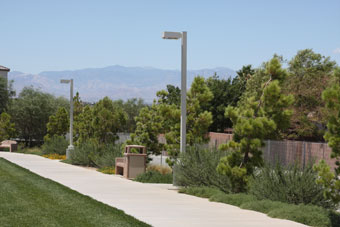 Photo of Amador Vista Park Loop Trail