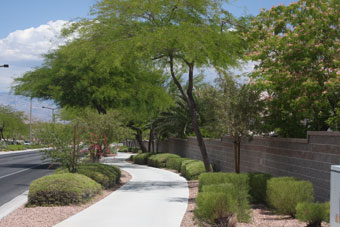 Photo of Anasazi Drive Trail