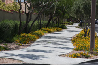 Photo of Anasazi Drive Trail