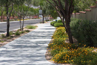 Photo of Anasazi Drive Trail