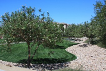 Photo of Aviary Wash Trails