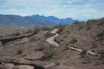 Photo of Bluffs Trail