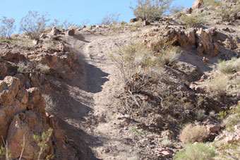 Photo of Bootleg Canyon Trails