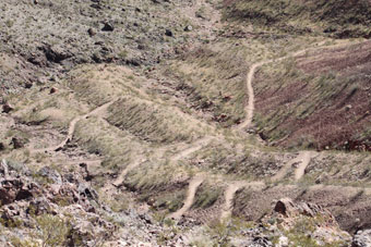 Photo of Bootleg Canyon Trails