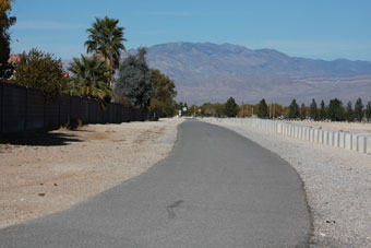 Photo of Buckskin Basin North Loop Trail