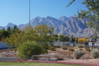 Photo of Buckskin Basin Park Loop Trail