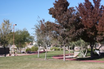 Photo of Buckskin Basin Park Loop Trail