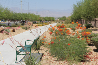 Photo of Centennial Parkway Trail