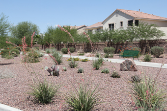 Photo of Centennial Parkway Trail