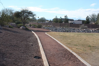 Photo of Cheyenne Ridge Park Loop Trail