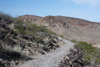 Photo of City View Trail