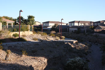 Photo of Community Park Loop Trail