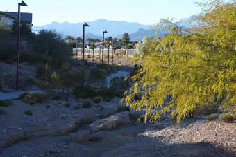 Photo of Community Park Wash Trail