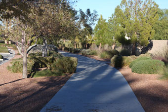 Photo of Community Park Wash Trail