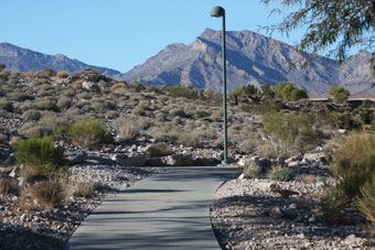 Photo of Cottonwood Canyon Trail