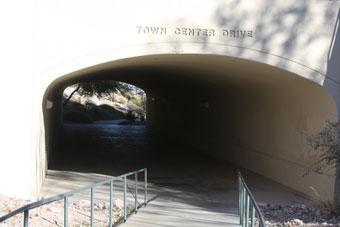 Photo of Cottonwood Canyon Trail