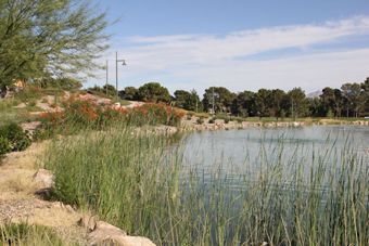 Photo of Craig Ranch Regional Park Loop Trail