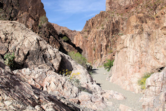 Photo of Cranes Nest Canyon Trail