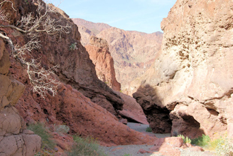 Photo of Cranes Nest Canyon Trail