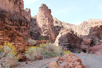 Photo of Cranes Nest Canyon Trail