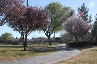 Photo of The Crossings Park Loop Trail