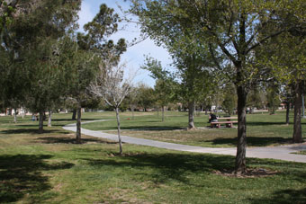 Photo of Davis Park Loop Trail