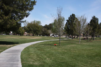 Photo of Davis Park Loop Trail