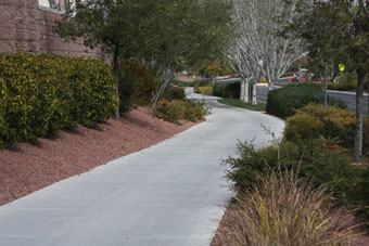 Photo of Deer Springs Way Trail