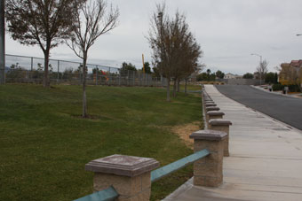 Photo of Desert Bloom Park Loop Trail