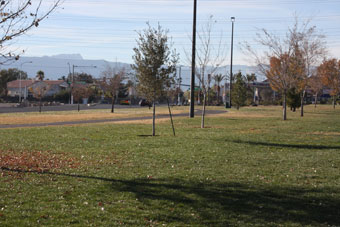 Photo of Desert Breeze Park North Loop Trail